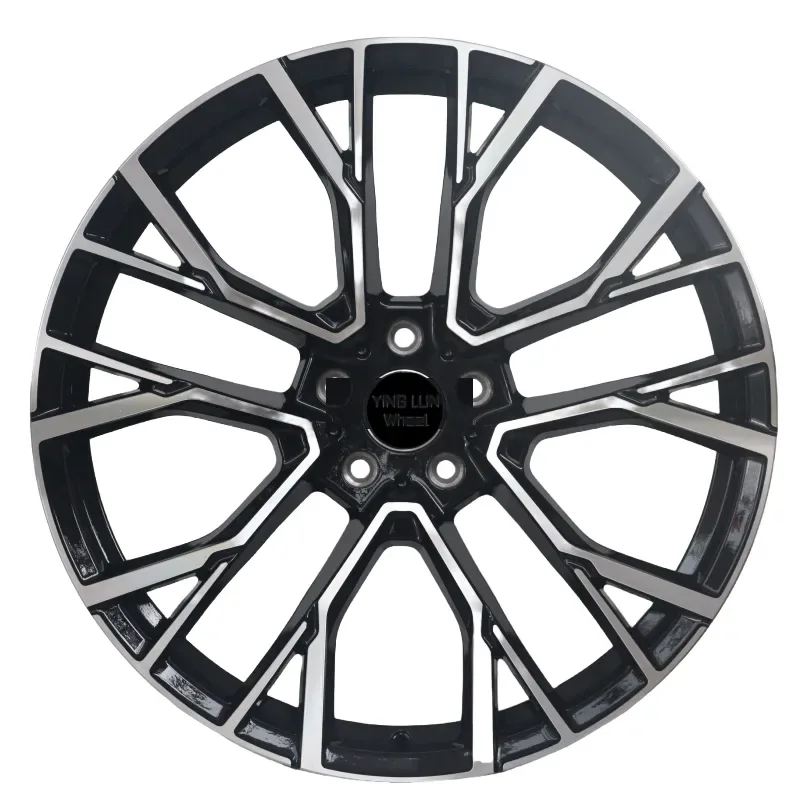 Multi Spoke Cast Wheel 20-22 Inch — 20–22"  ·  5x112  ·  cast