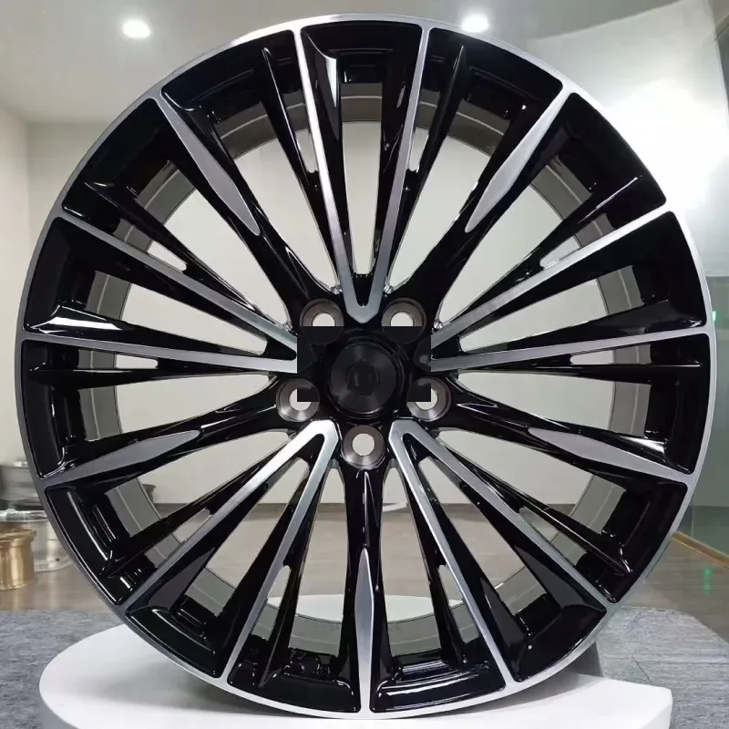 19 Inch Aluminum Wheels 5x114.3 Multi-Spoke — 19"  ·  5x114.3  ·  cast